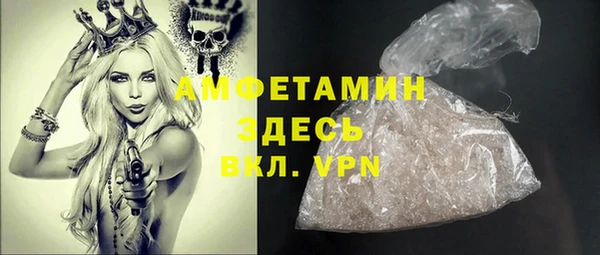 PSILOCYBIN Алзамай