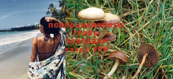 PSILOCYBIN Алзамай