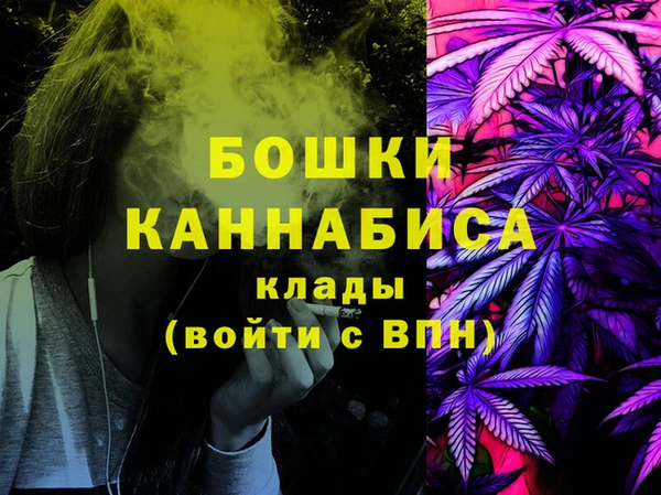 PSILOCYBIN Алзамай