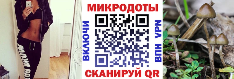 нарко площадка Telegram  магазин  наркотиков  Большой Камень  Галлюциногенные грибы мицелий  гидра ссылки 